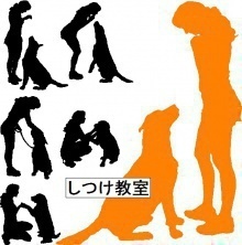犬 しつけ教室